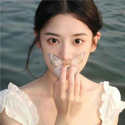 橄榄树之恋